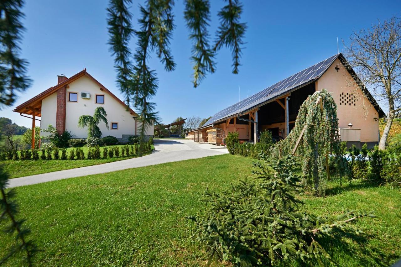Farmhouse Lipoglav Loce pri Poljcanah Exterior photo
